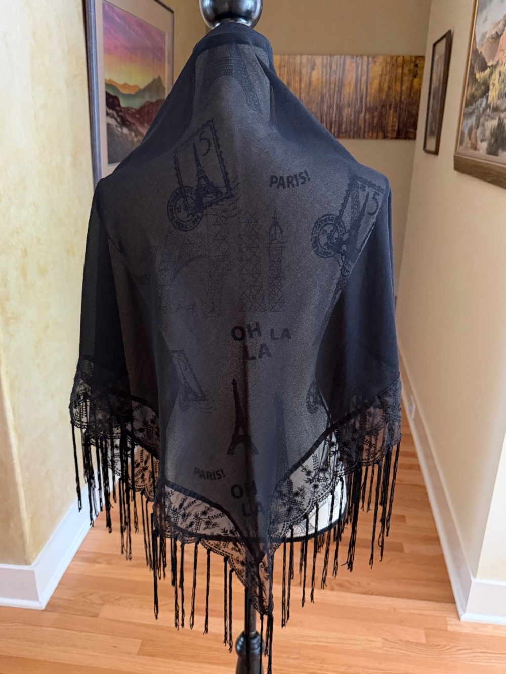 Black Dressy Shawl Wrap with Fringe and Lace Semi Sheer - Picture 2 of 9